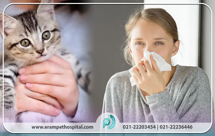 افراد کم تجربه در نگهداری حیوانات خانگی