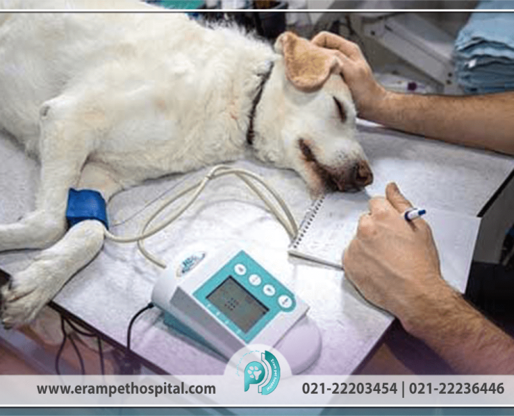 hepatit-1200-800-min