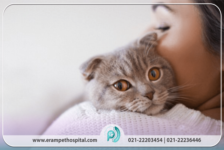 گربه و نازایی