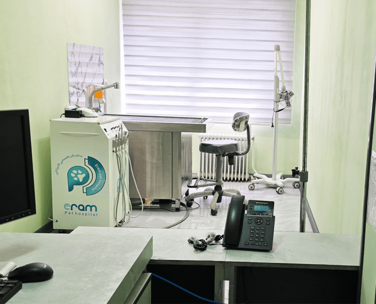 dandan-1200-800-min-3-740x600