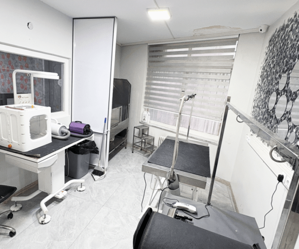 grooming-1200-800-min-1-1065x710