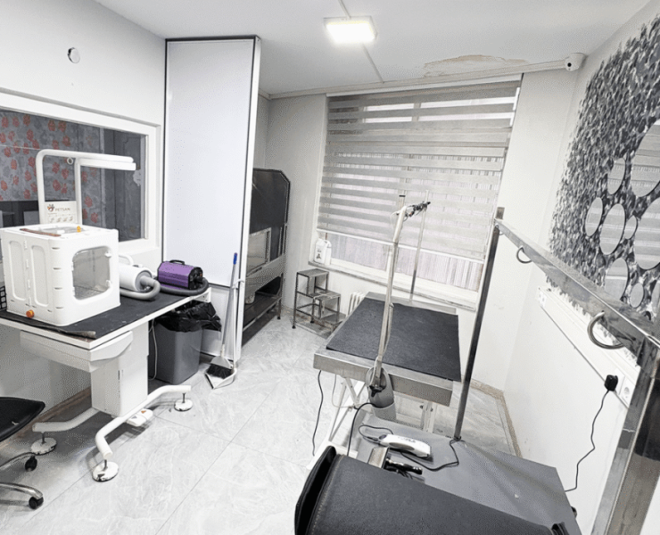 grooming-1200-800-min-1-1065x710