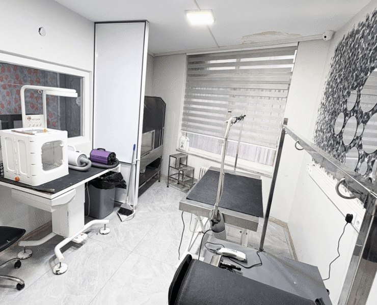 grooming-1200-800-min (1)