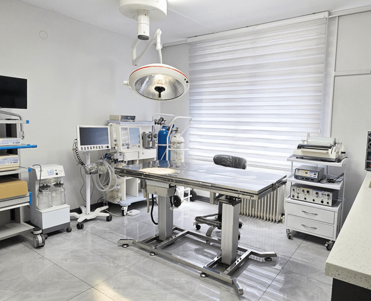 jarahi-1200-800-min-2-740x600