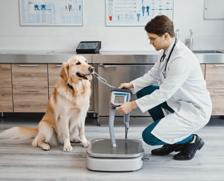 rejim-1200-800-min-1-1065x710