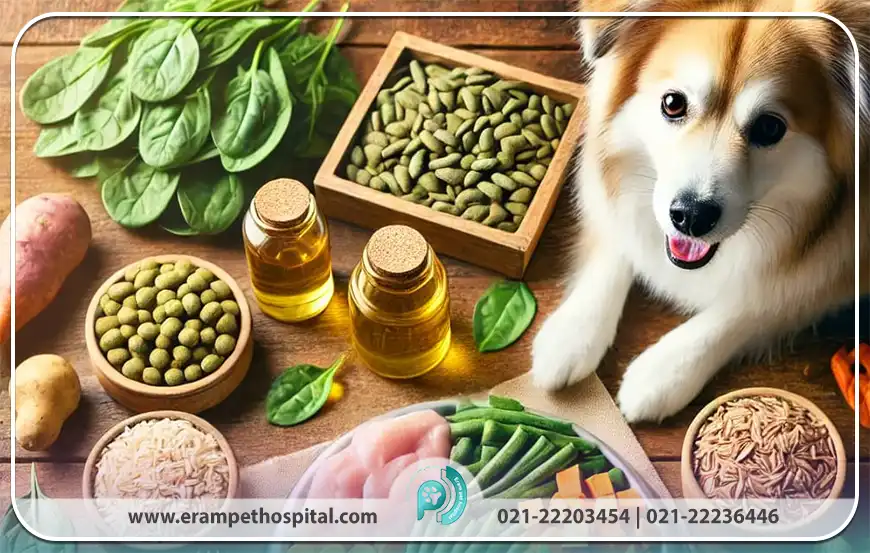 رژیم غذایی مناسب برای سگ‌ها بر اساس سن، نژاد و سطح فعالیت