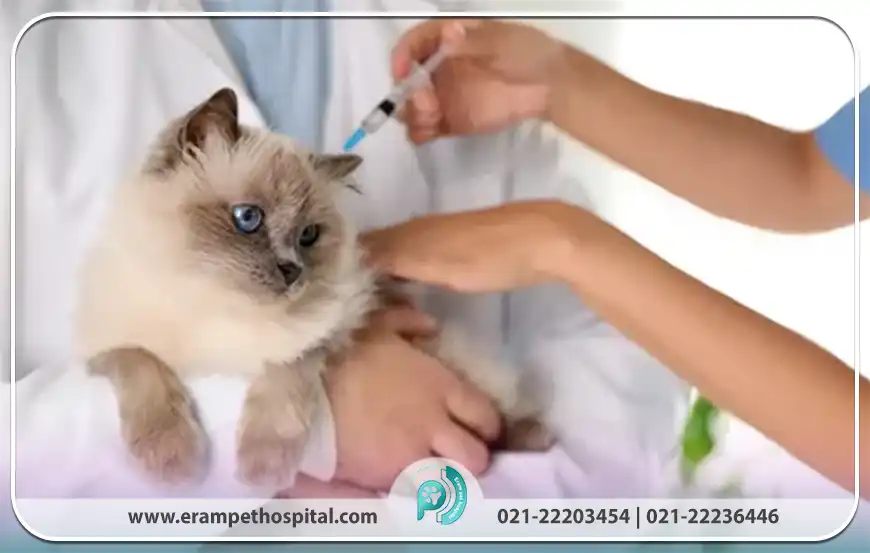 نقش واکسیناسیون در سلامت حیوانات و جامعه