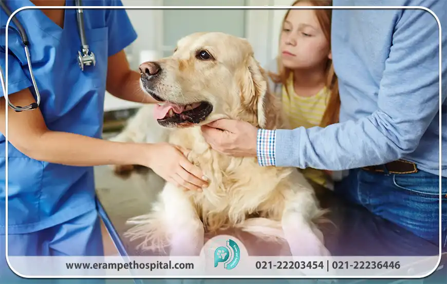 جراحات و شکستگی‌ها: وقتی هر حرکت دردناک است