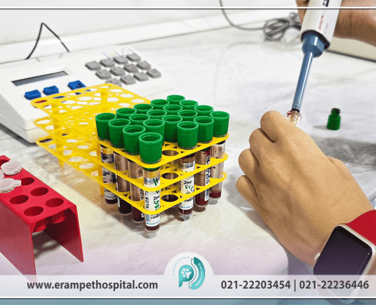 آزمایشگاه دامپزشکی ارم