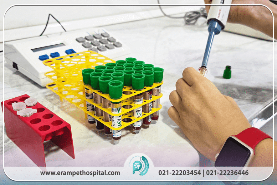 کاربرد آزمایشگاه دامپزشکی در پیشگیری و درمان بیماری‌ پت‌ها