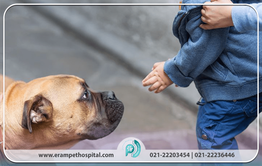 2. مواجهه درمانی (Exposure Therapy) و حساسیت‌زدایی منظم (Systematic Desensitization)