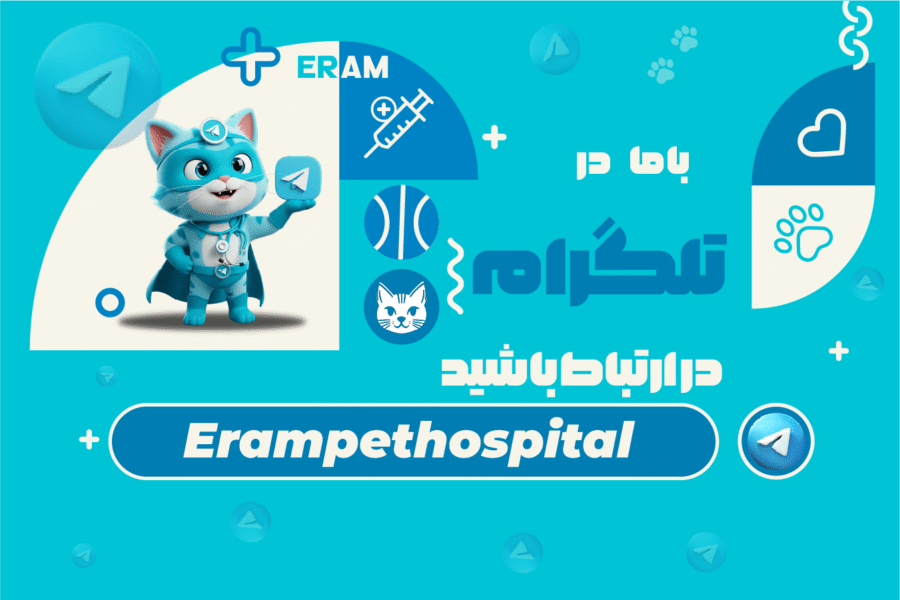 telegram-min