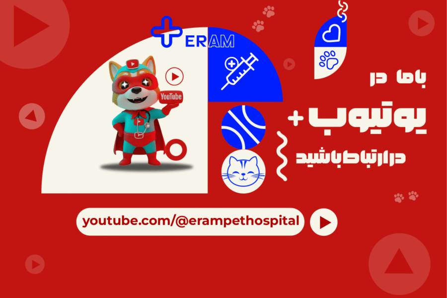 youtube-min