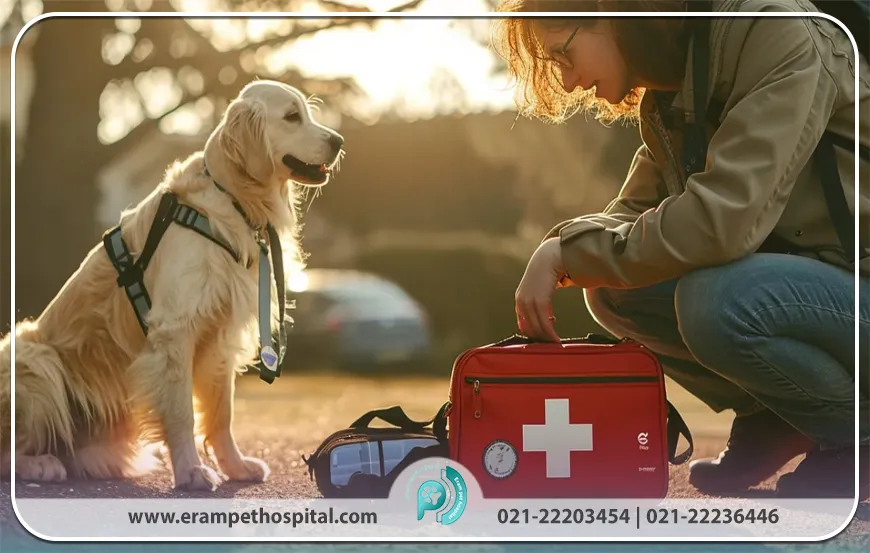 چگونه خونریزی سگ را کنترل کنیم؟