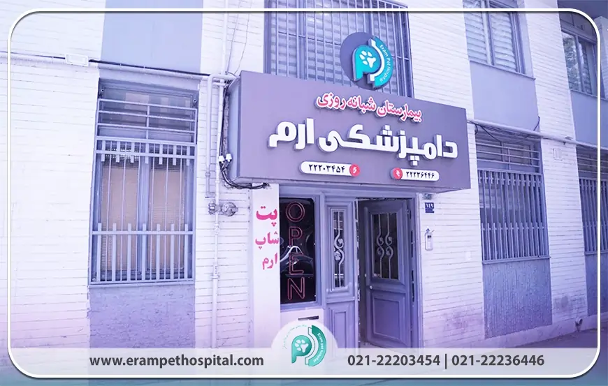 معرفی بیمارستان دامپزشکی ارم