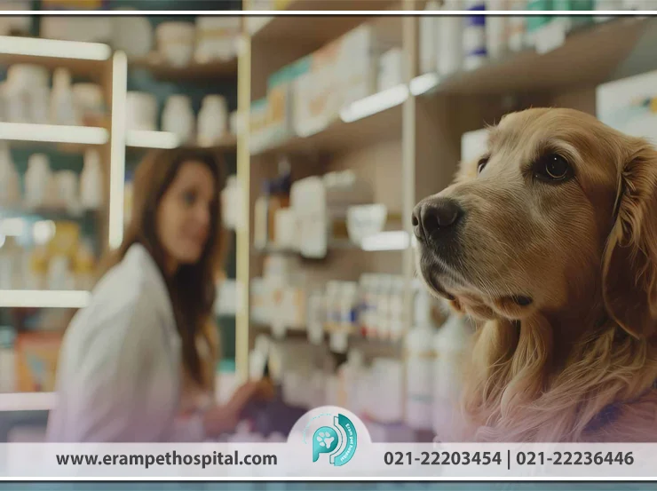 reputable pharmacy-870-553-1