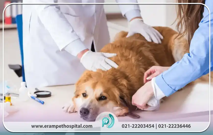 بررسی تعرفه ها و عوامل مؤثر بر هزینه ها