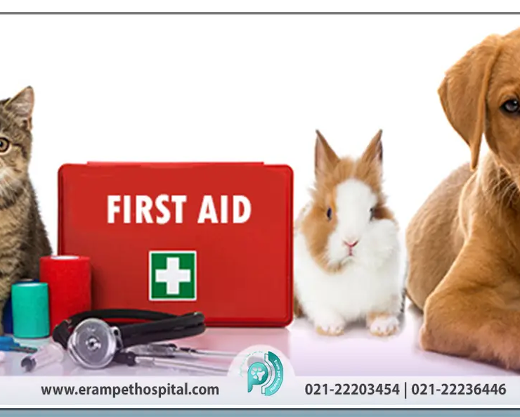 کمک‌های اولیه در شرایط اورژانسی حیوانات