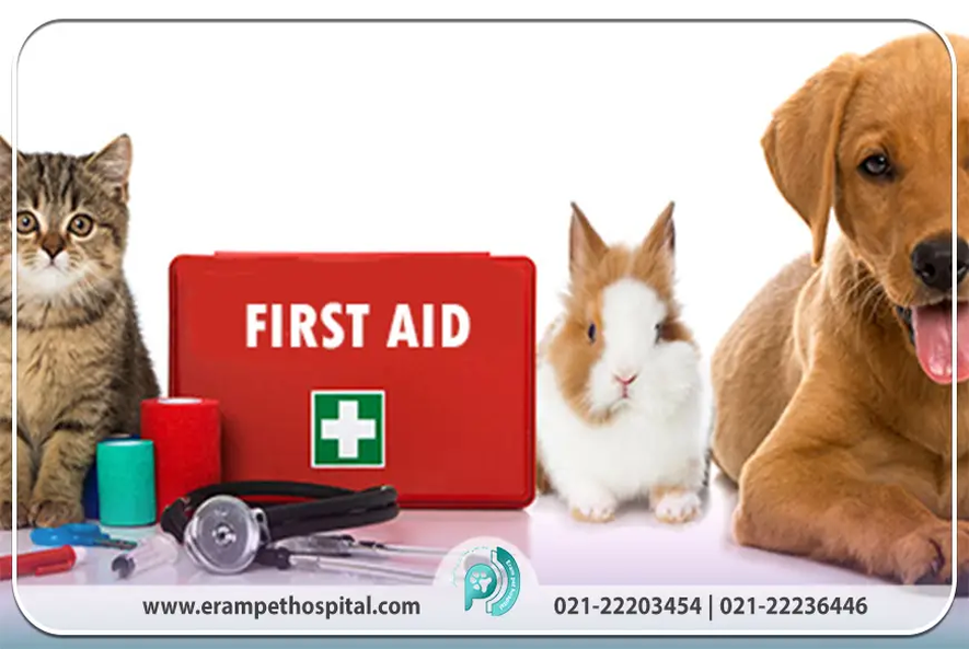 کمک‌های اولیه در شرایط اورژانسی حیوانات