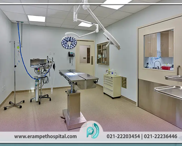 best-veterinary-hospital-Tehran-erampethospital.com_