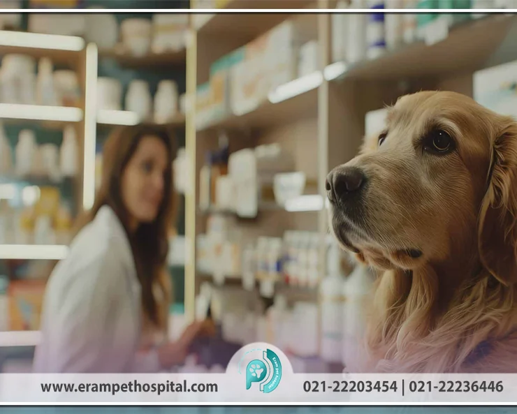 چطور یک داروخانه دامپزشکی معتبر پیدا کنیم؟