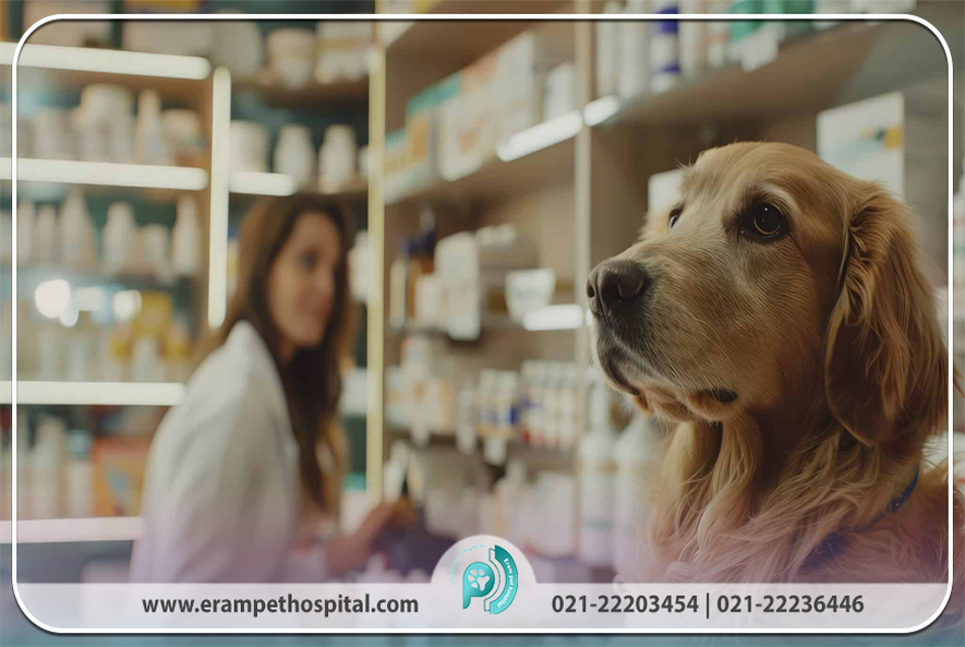 چطور یک داروخانه دامپزشکی معتبر پیدا کنیم؟