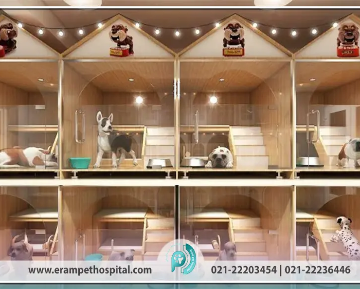 introducing-pet-hotels-and-boarding-houses-in-tehran-erampethospital.com_